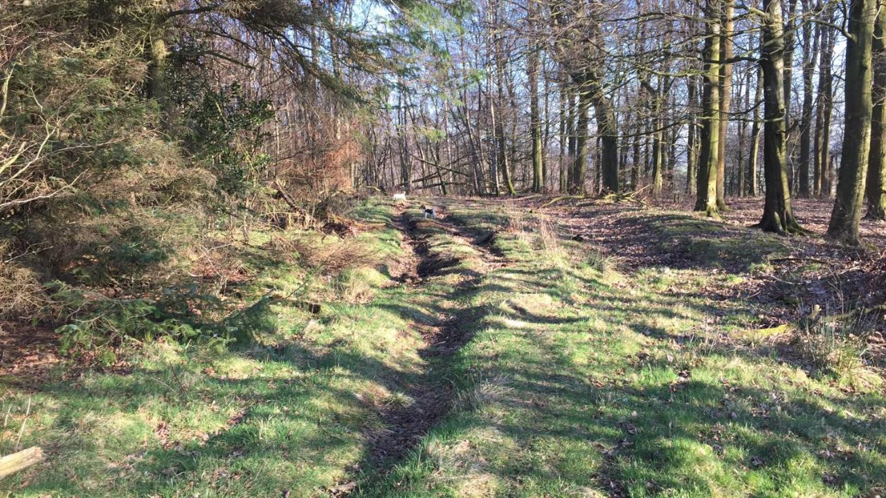 Ingledale Apartment, Ingleton, Yorkshire Dales National Park, Famous Three Peaks, Near The Lake District, Pets Are Welcome Ингълтън Екстериор снимка